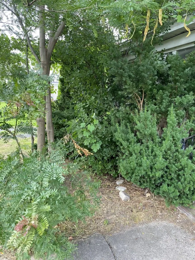 Expert garden landscaping for year-round maintenance across Parish, NY - Against the Wind Lawn Care