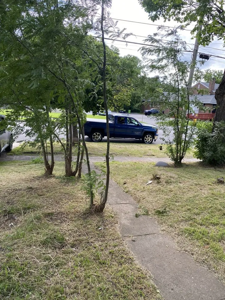 Affordable outdoor landscaping in Parish, NY by Against the Wind Lawn Care