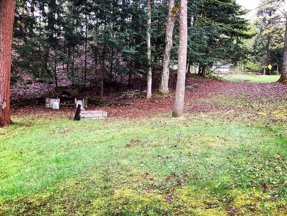 Reliable yard cleanup service with custom design across Parish, NY - Against the Wind Lawn Care