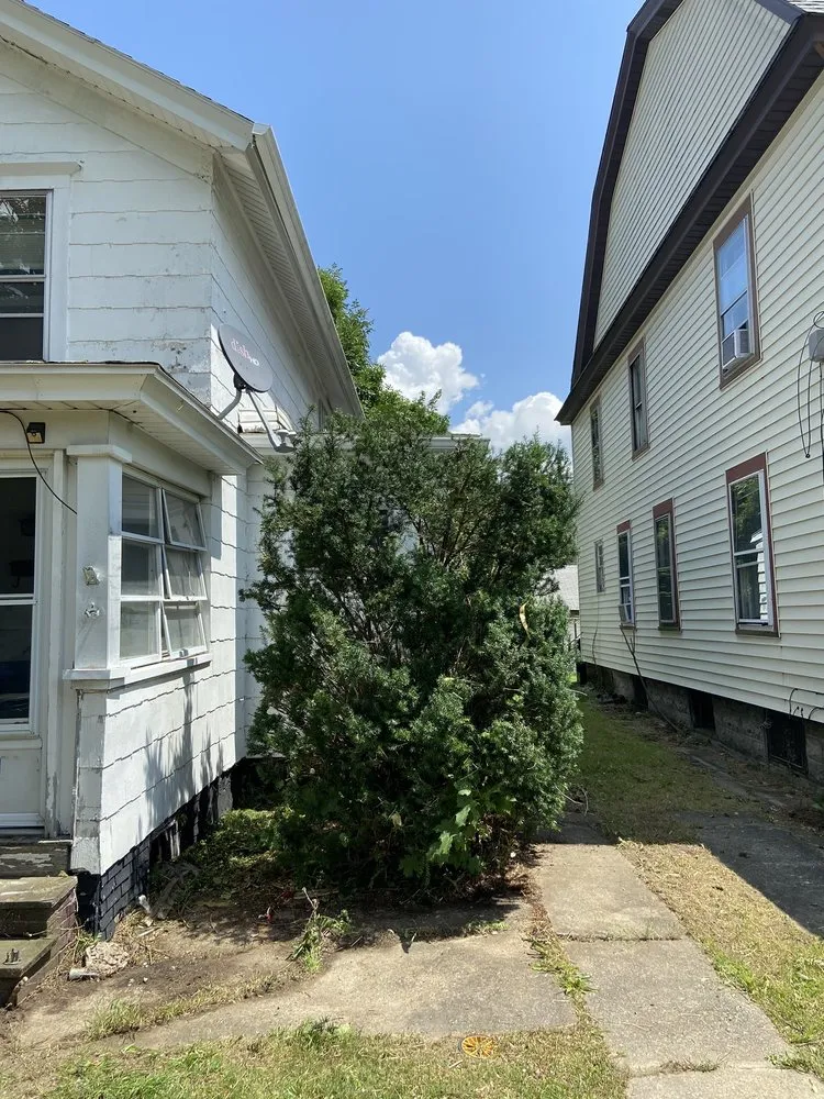 Top-rated landscape design experts serving Parish, NY - Against the Wind Lawn Care