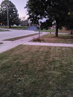 Agame Residential Lawn Cutting and Snow Removal Logo