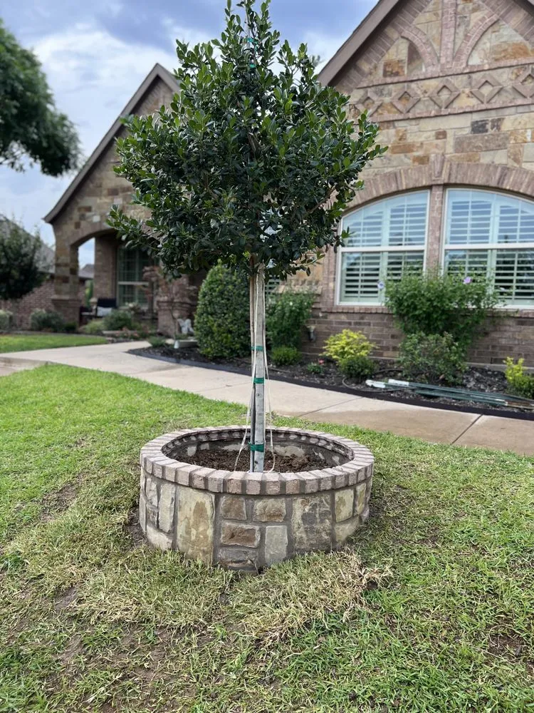 Custom yard cleanup service in Arlington, TX by Agape Landscape & Irrigation
