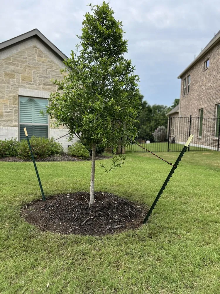 Custom residential landscaping experts serving Arlington, TX - Agape Landscape & Irrigation