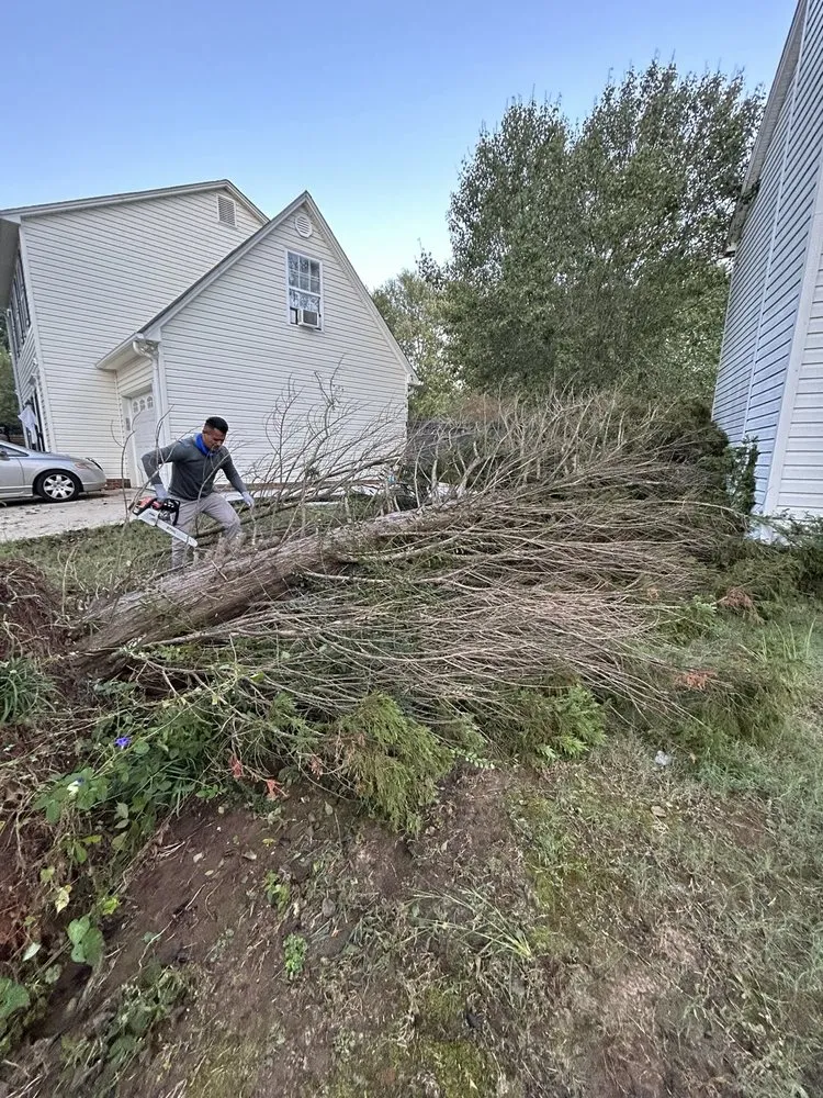 Custom landscape design for outdoor upgrades in Taylors, SC by Agape landscape