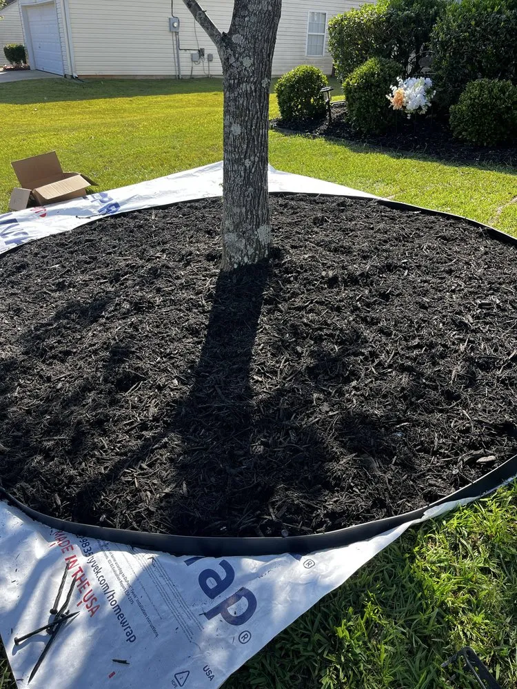 Top-rated landscape installation in Taylors, SC - Agape landscape