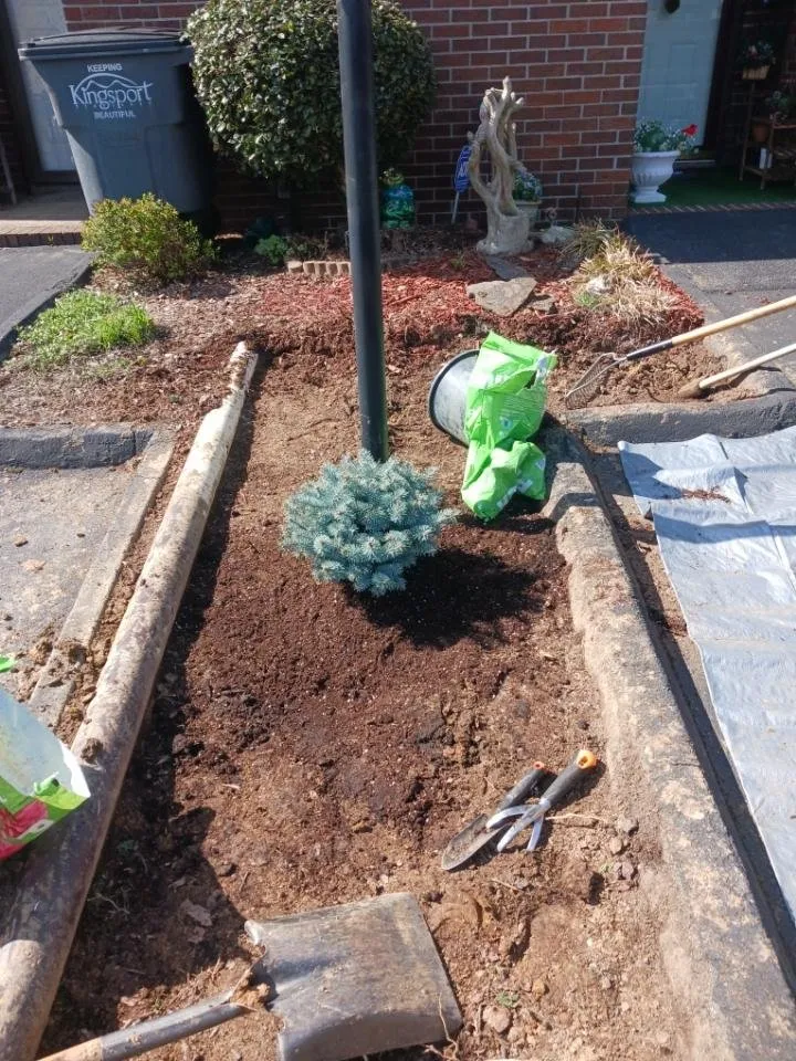 Expert yard maintenance in Church Hill, TN by Agape Landscaping and lawncare