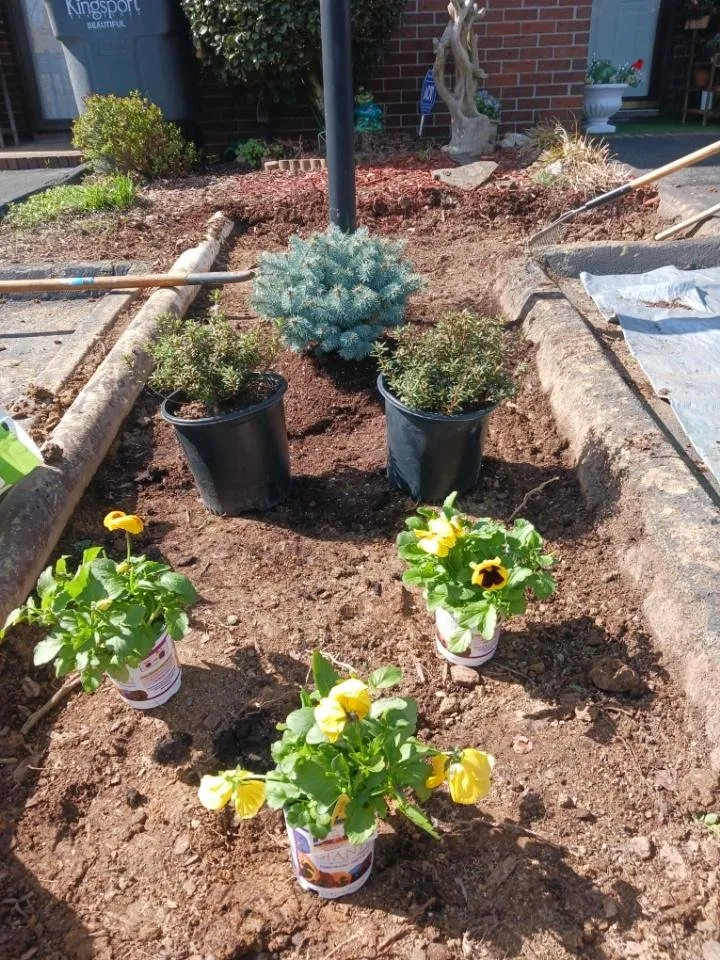 Professional lawn mowing service for year-round maintenance across Church Hill, TN - Agape Landscaping and lawncare