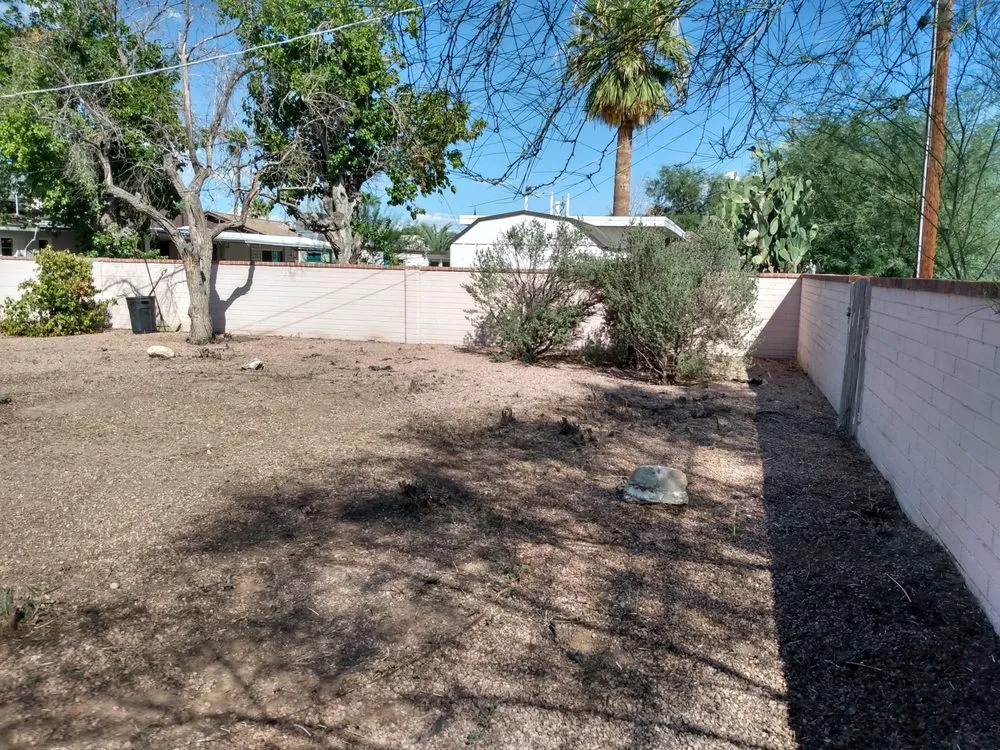 Professional yard cleanup service with custom design in Tucson, AZ by Agape Landscaping