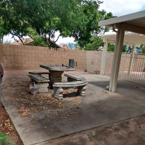 Local yard maintenance experts serving Tucson, AZ - Agape Landscaping