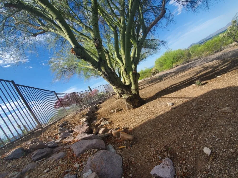 Trusted yard maintenance in Tucson, AZ by Agape Landscaping