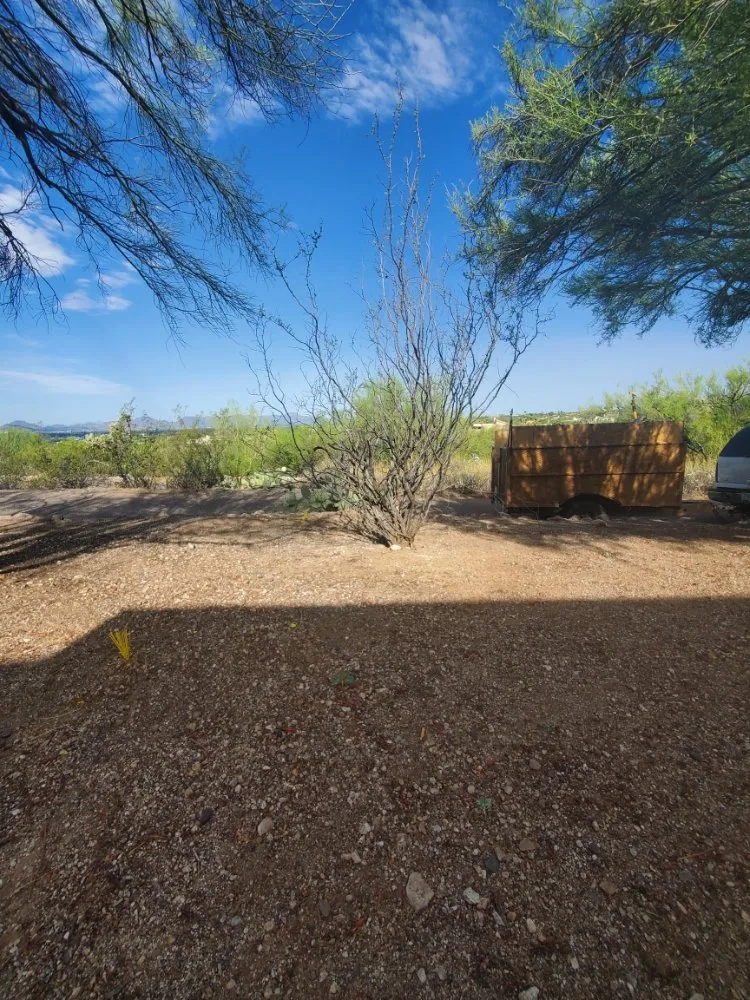 Professional lawn care service near you in Tucson, AZ by Agape Landscaping