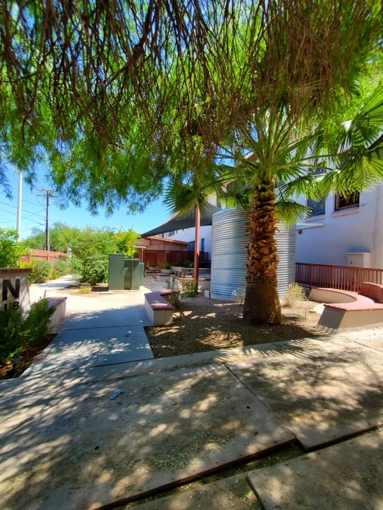 Affordable landscape design experts serving Tucson, AZ - Agape Landscaping