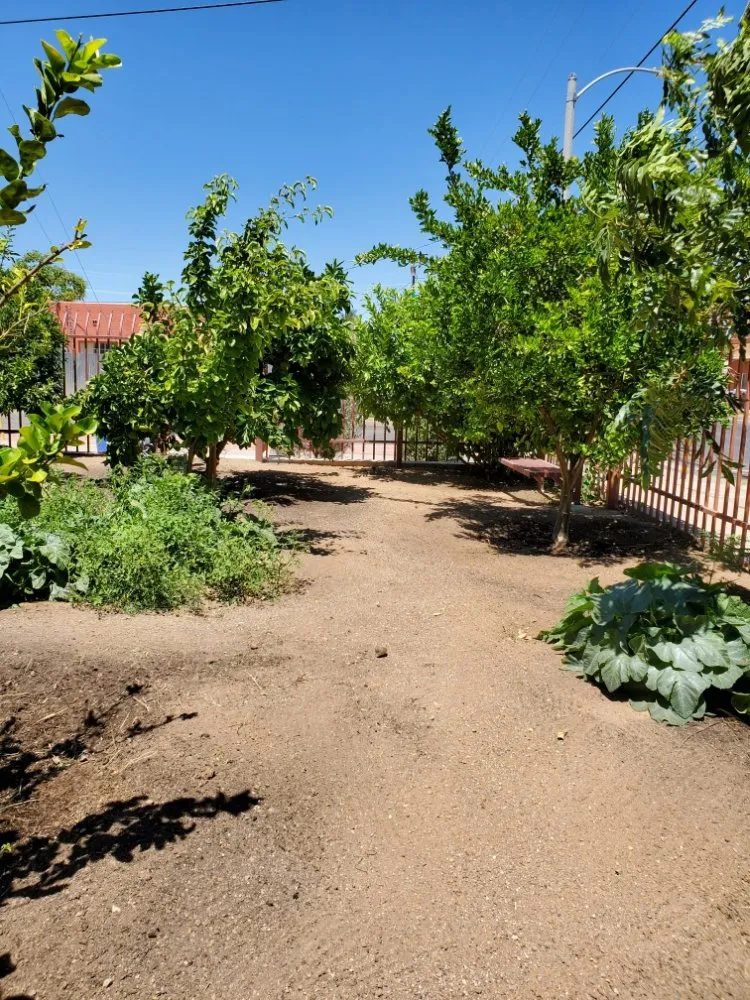 Custom residential landscaping experts serving Tucson, AZ - Agape Landscaping