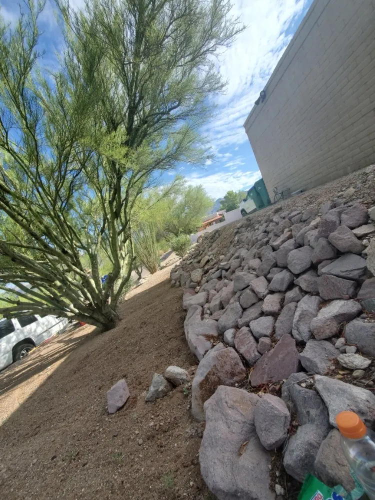 Affordable landscaping services with custom design in Tucson, AZ by Agape Landscaping