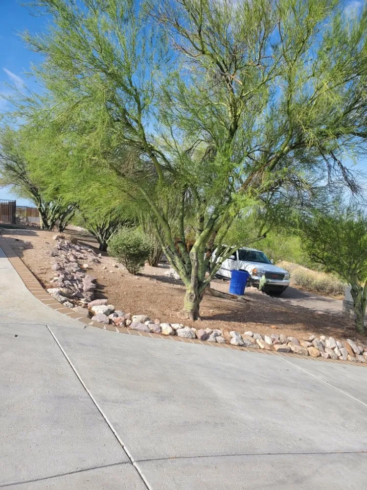 Custom residential landscaping for homes across Tucson, AZ - Agape Landscaping