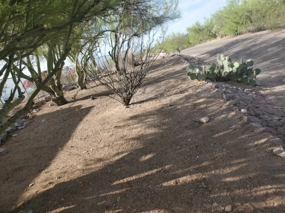 Professional residential landscaping near you across Tucson, AZ - Agape Landscaping