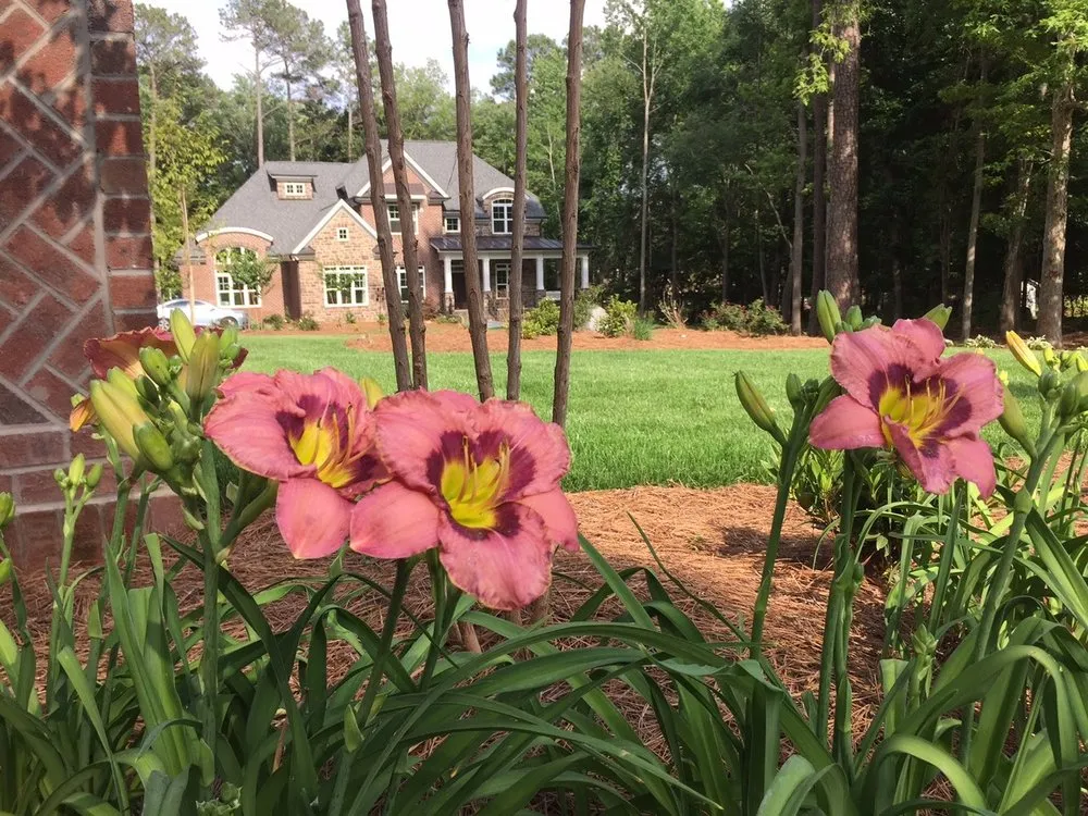 Top-rated yard cleanup service in Durham, NC by Agape Lawn Company