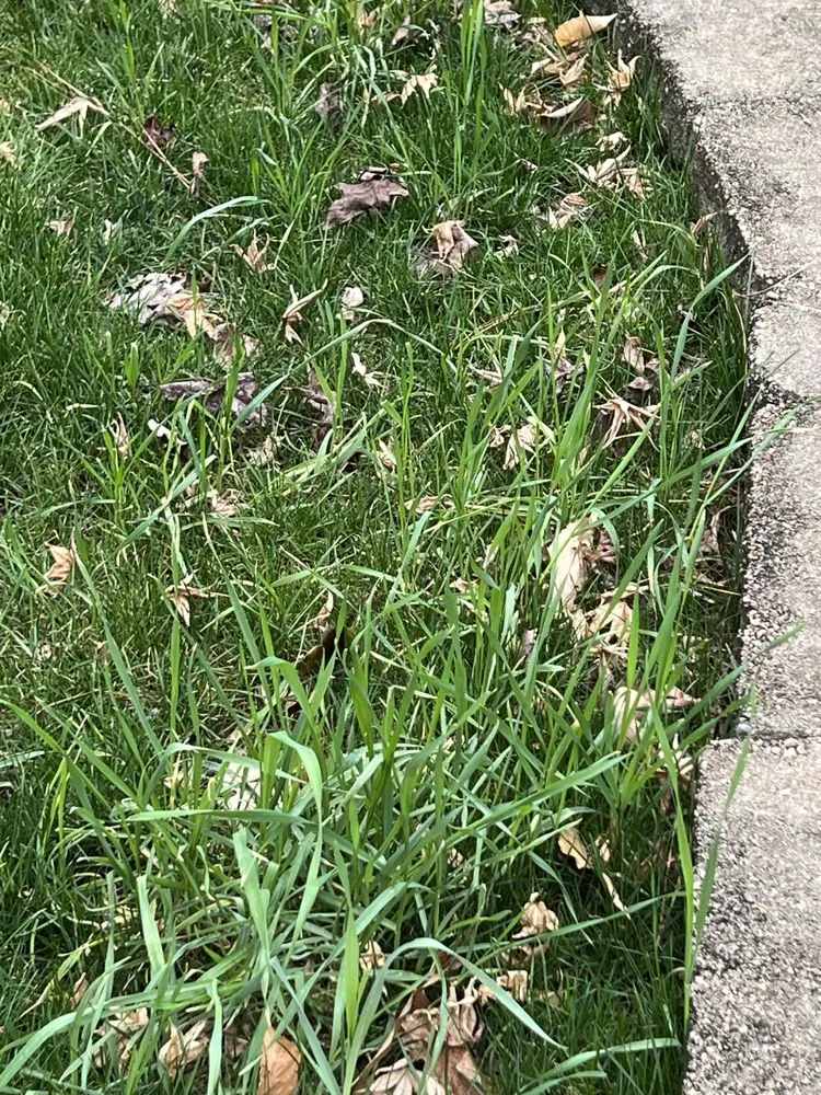 Local residential landscaping experts serving Durham, NC - Agape Lawn Company