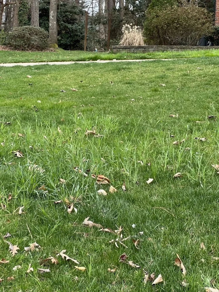 Custom garden landscaping in Durham, NC - Agape Lawn Company