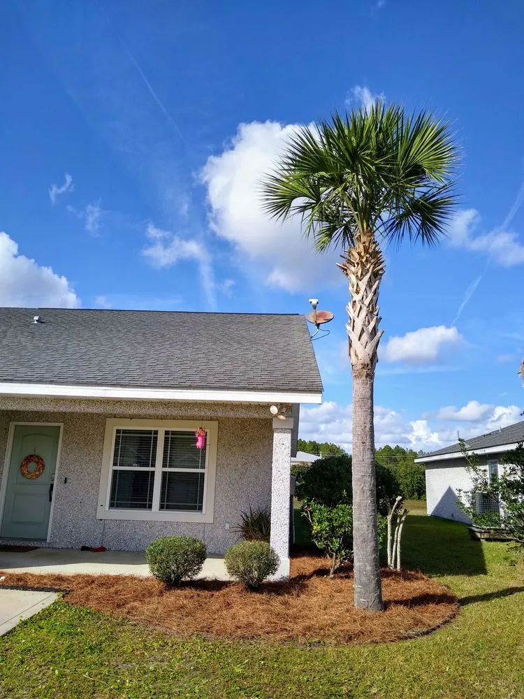 Expert landscaping services experts serving St. Marys, GA - Agape Outdoor Services