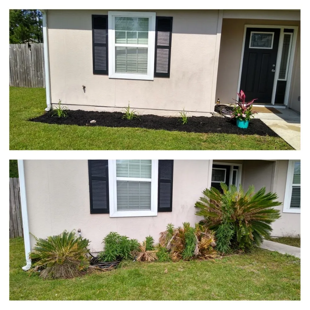 Professional landscape design for year-round maintenance in St. Marys, GA by Agape Outdoor Services