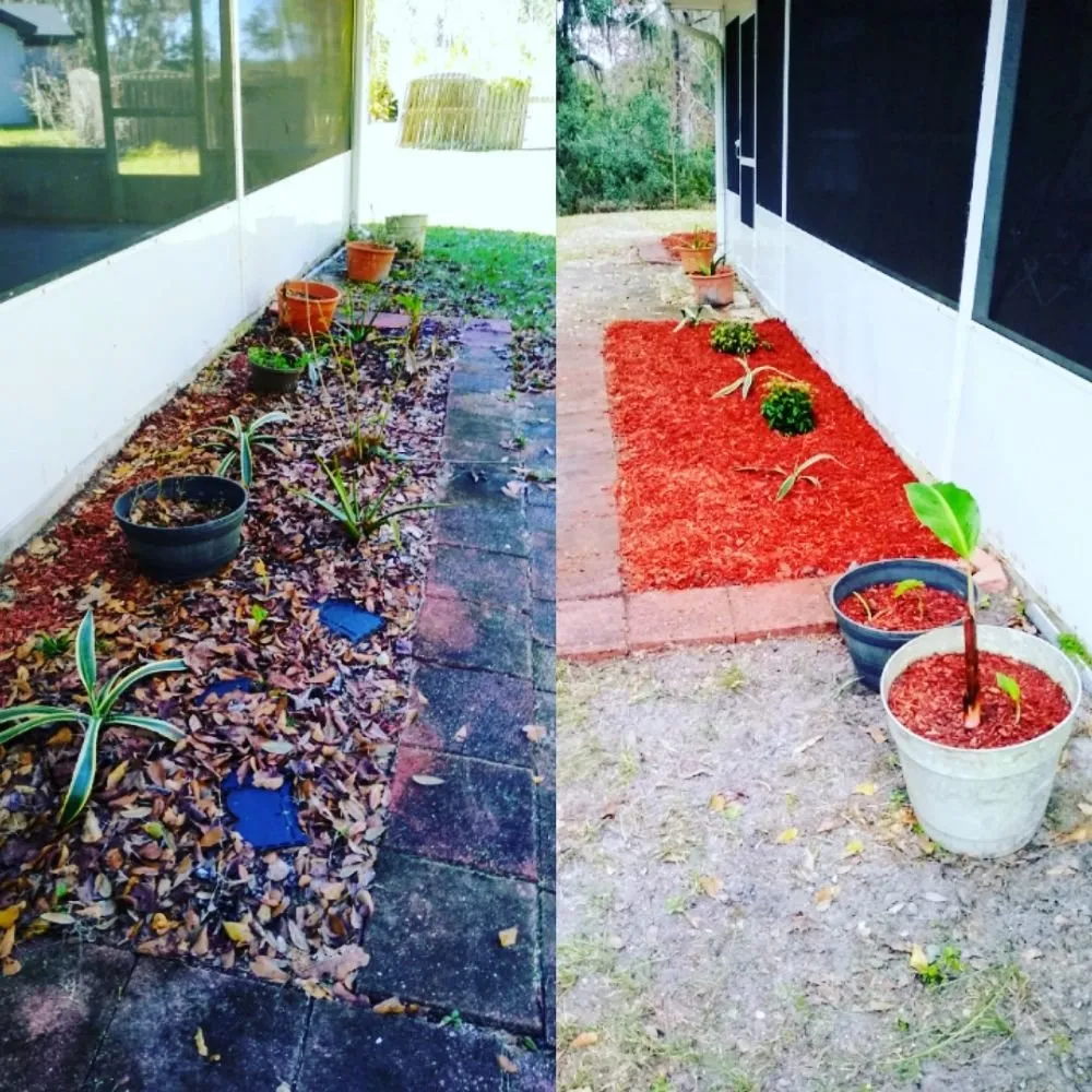 Expert lawn mowing service experts serving St. Marys, GA - Agape Outdoor Services