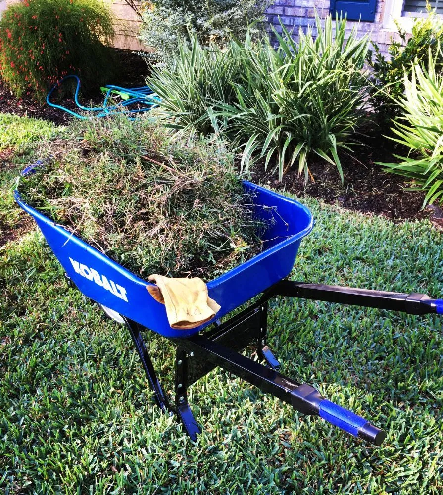 Affordable outdoor landscaping in St. Marys, GA - Agape Outdoor Services
