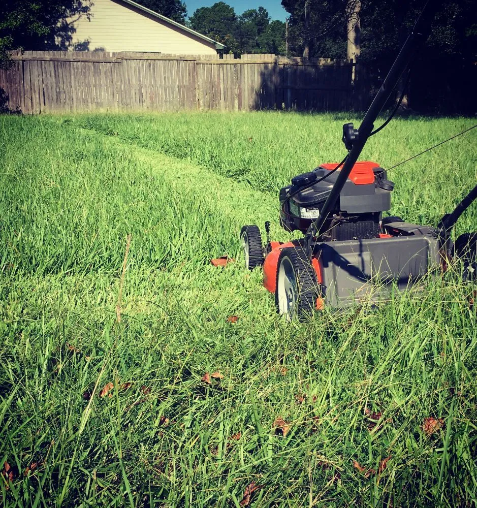 Affordable landscape installation experts serving St. Marys, GA - Agape Outdoor Services