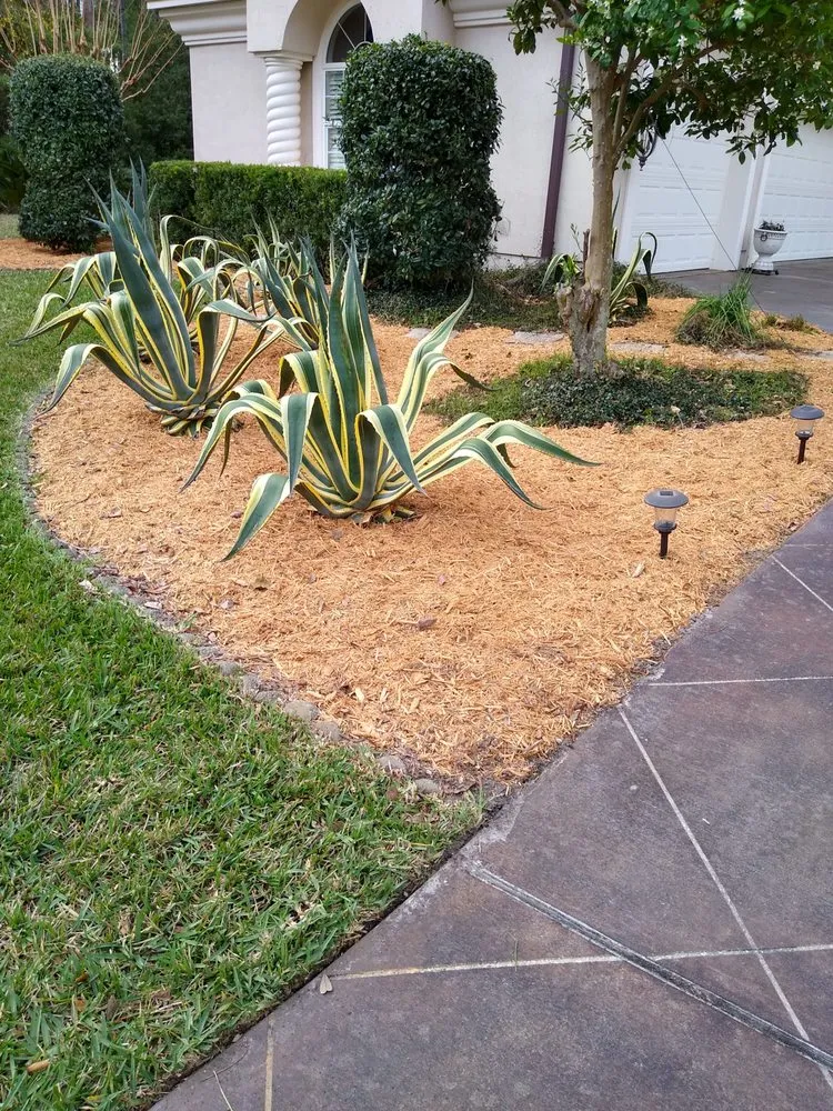 Top-rated landscaping services experts serving St. Marys, GA - Agape Outdoor Services