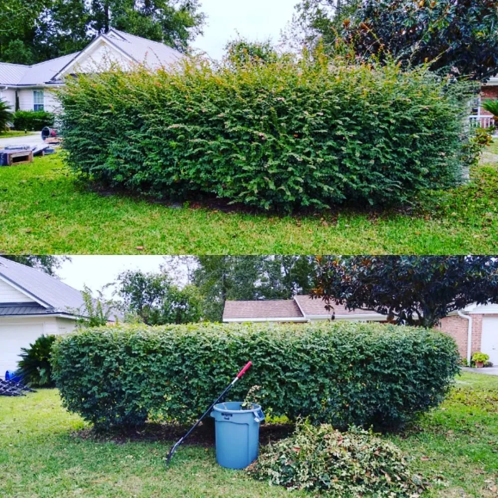 Expert yard cleanup service in St. Marys, GA by Agape Outdoor Services