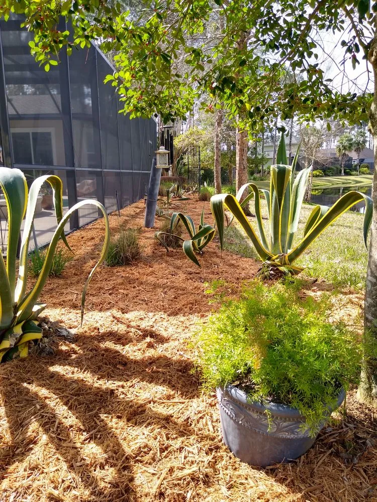 Professional yard maintenance experts serving St. Marys, GA - Agape Outdoor Services