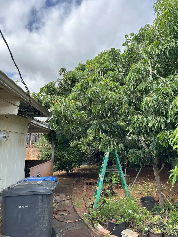 Professional landscape design experts serving Kapolei, HI - Agape Outdoor Works