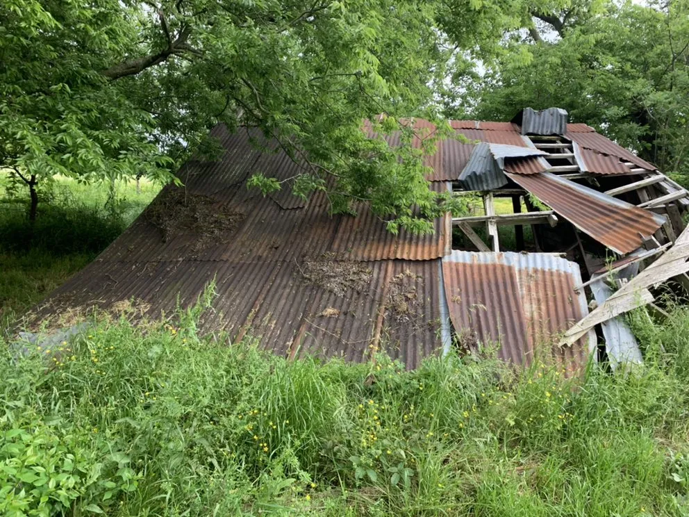 Reliable lawn care service for year-round maintenance across Sulphur Springs, TX - Agape Services