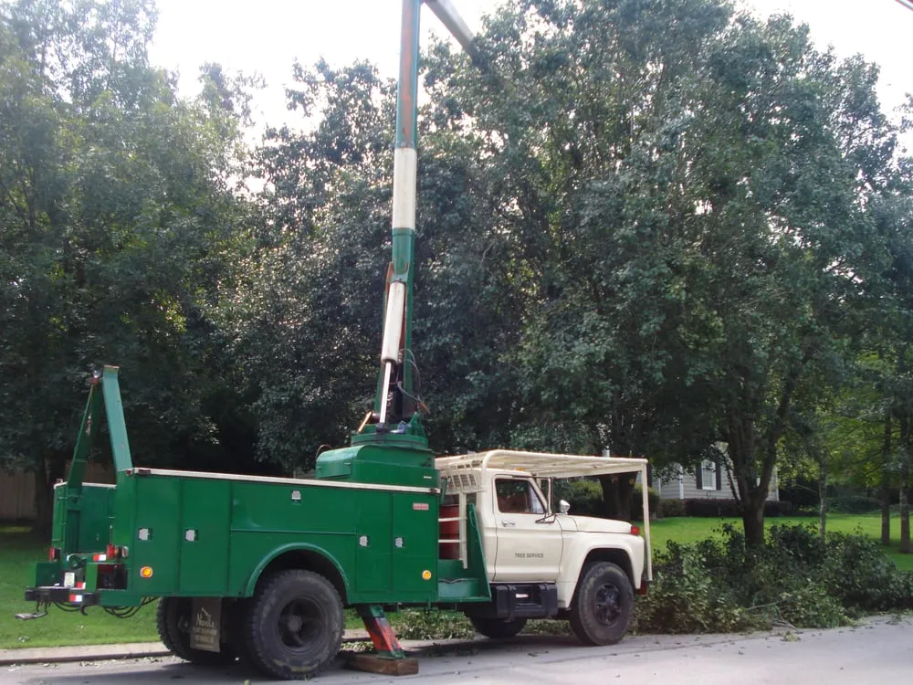 Custom yard cleanup service experts serving Trenton, GA - Agape Services