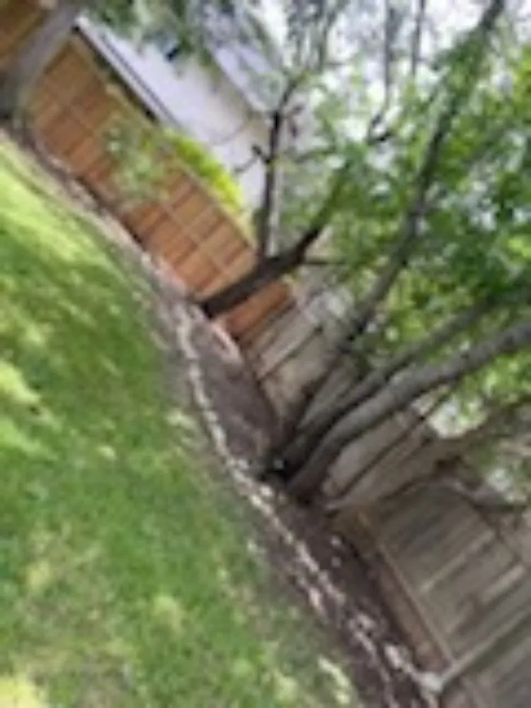 Top-rated outdoor landscaping in Austin, TX - Agape Sprinkler System