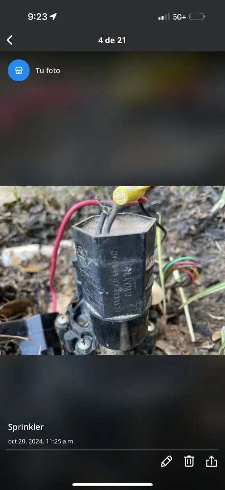 Expert landscaping services experts serving Austin, TX - Agape Sprinkler System