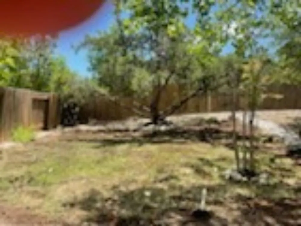 Affordable landscape design near you in Austin, TX by Agape Sprinkler System