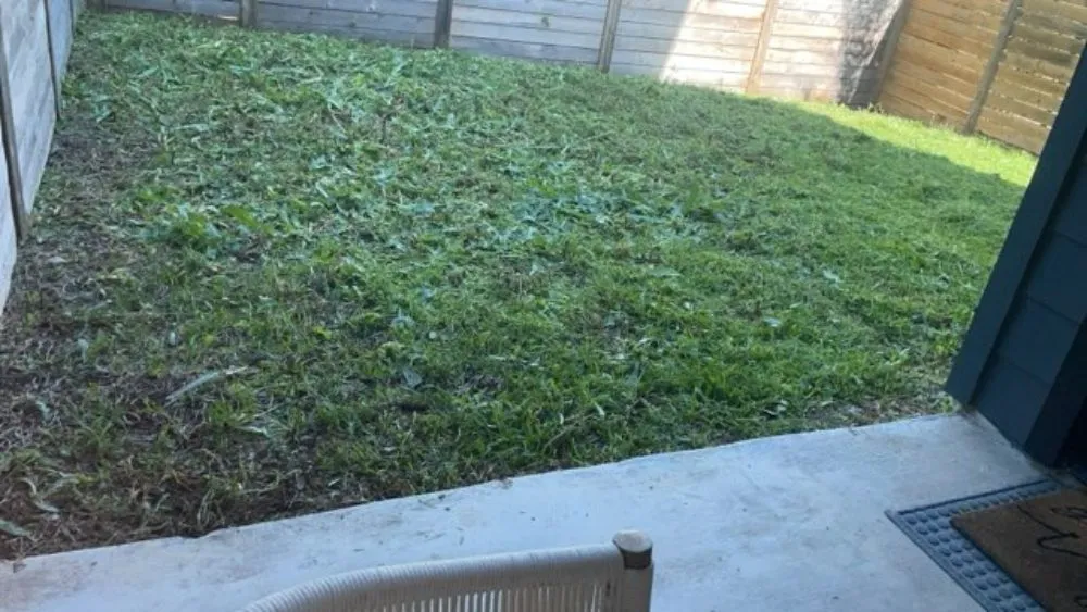 Reliable yard cleanup service in Austin, TX by Agape Sprinkler System