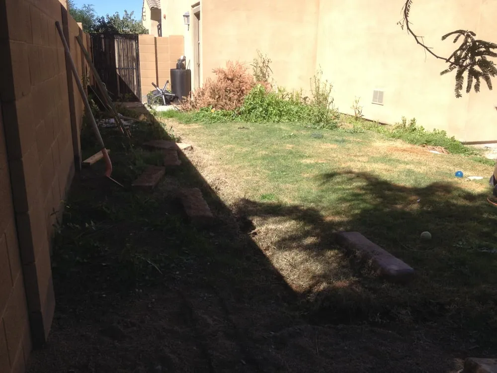 Trusted yard cleanup service in Peoria, AZ by Agape Turf
