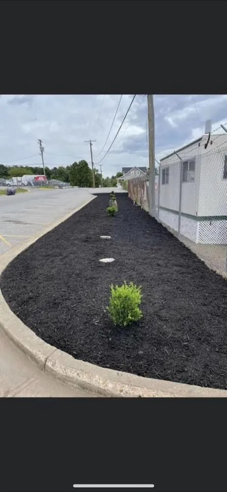 Professional outdoor landscaping in Pasadena, MD - Agar Lawn Care