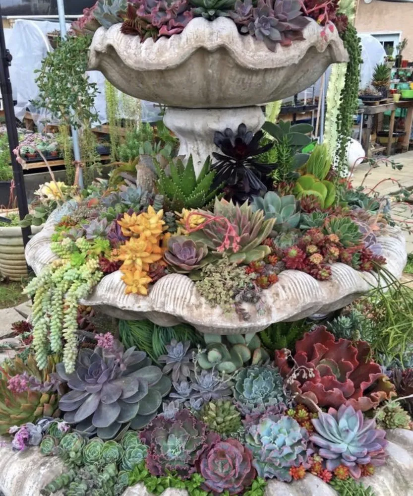 Expert landscape design experts serving Golden Beach, FL - AGardenGoddess