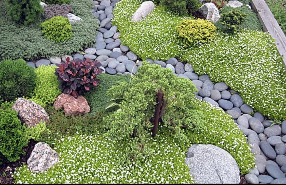 Local landscape installation near you across Golden Beach, FL - AGardenGoddess