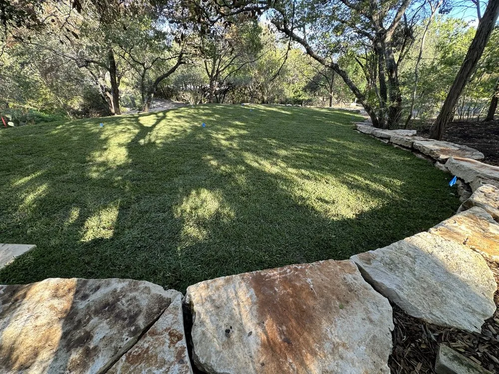 Reliable landscaping services in Manor, TX by Agave Azul Landscaping