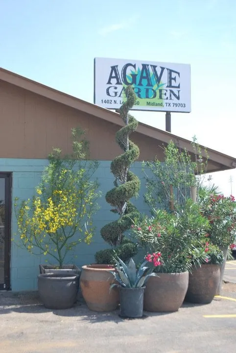 Affordable lawn care service in Midland, TX by Agave Garden