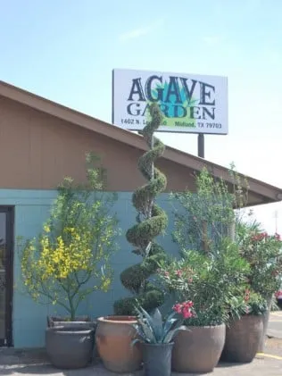 Custom garden landscaping in Midland, TX - Agave Garden
