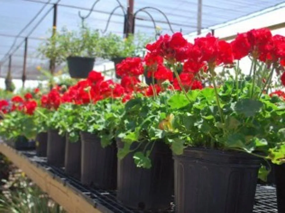 Trusted outdoor landscaping for outdoor upgrades in Midland, TX by Agave Garden