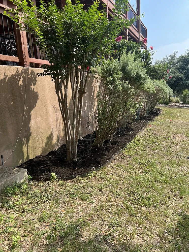 Local garden landscaping experts serving Lago Vista, TX - Agave Hills Landscaping