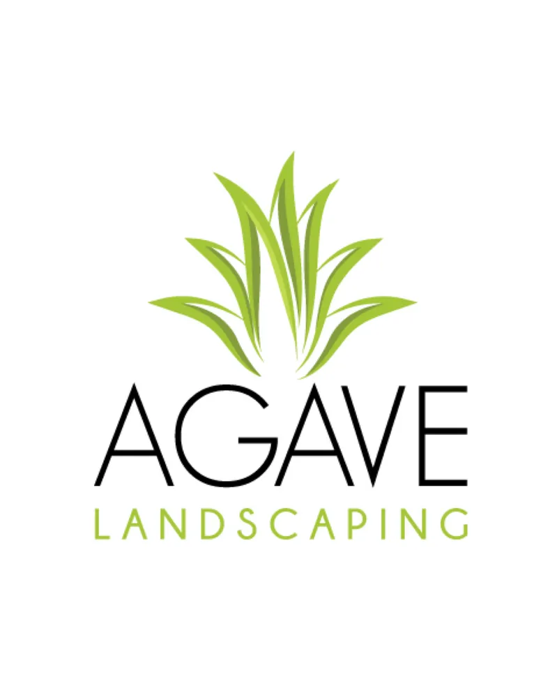 Reliable landscape installation in Albuquerque, NM by Agave Landscaping