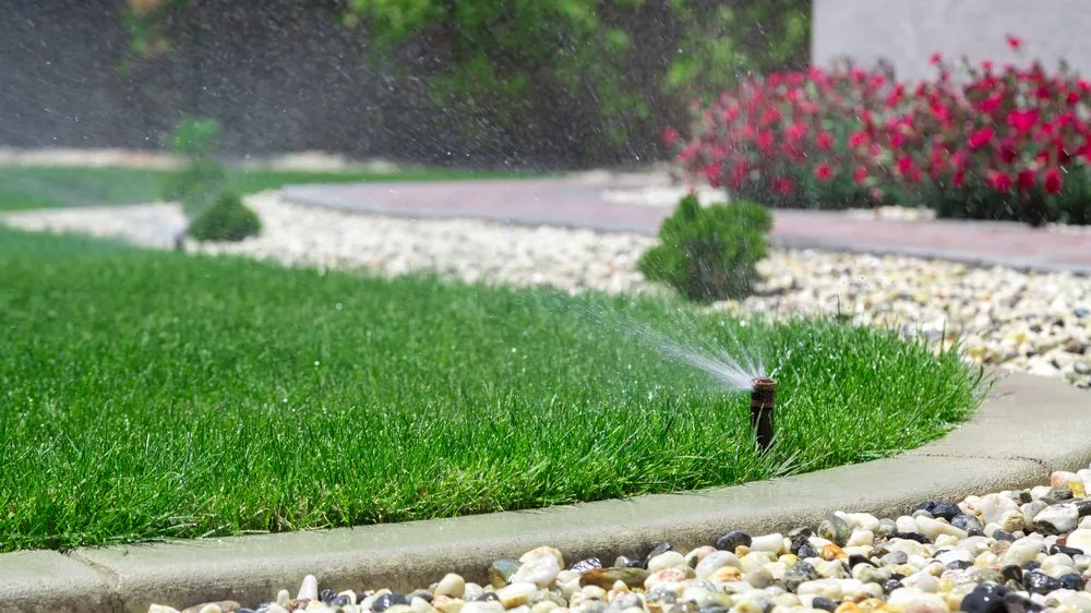 Professional landscape installation for year-round maintenance in Albuquerque, NM by Agave Landscaping