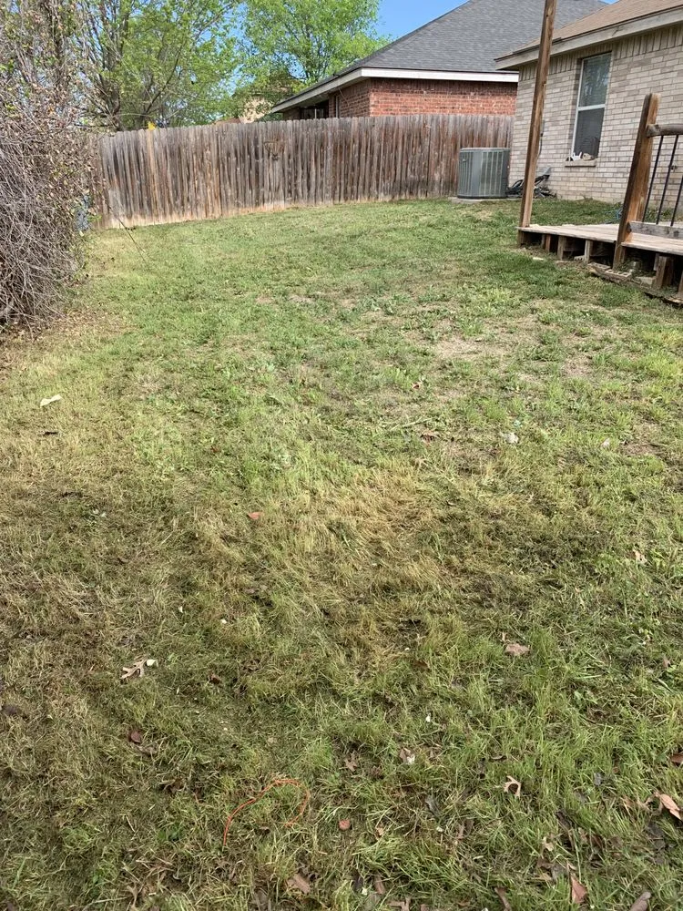 Professional lawn mowing service with custom design across San Antonio, TX - Agave Landscaping and Maintenance